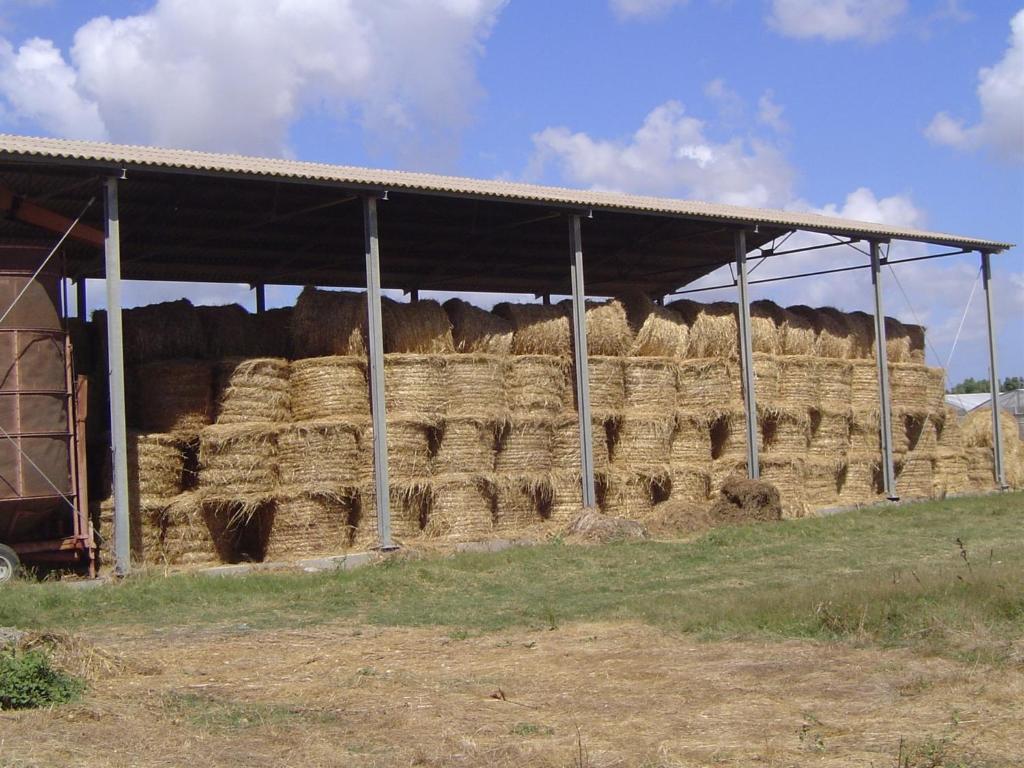 Séjour à la ferme Agrifoglio San Giovanni Suèrgiu