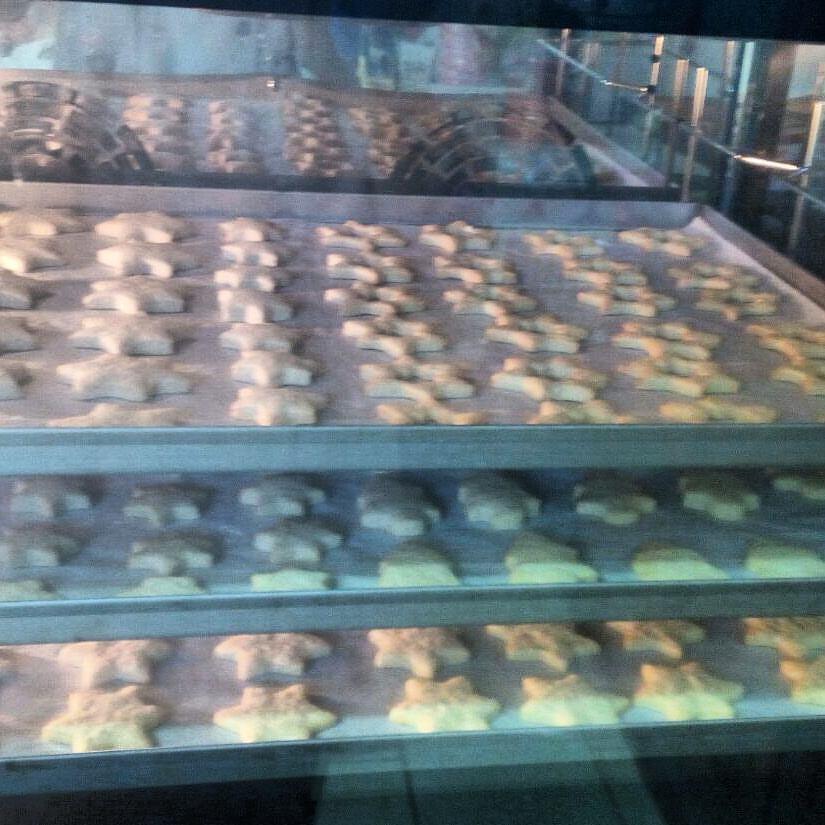 Séjour à la ferme Agrifoglio